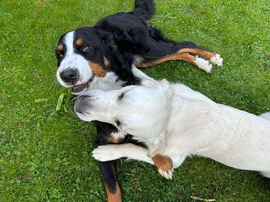 Was hat euch heute gefreut?-Beitrag-Bild