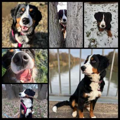 23. Collagen-Challenge: Portraits-Beitrag-Bild