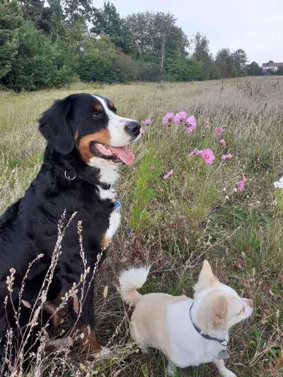 Was hat euch heute gefreut?-Beitrag-Bild