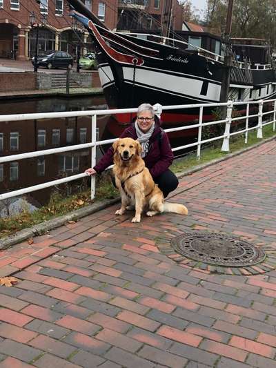 Größe eures Goldies-Beitrag-Bild