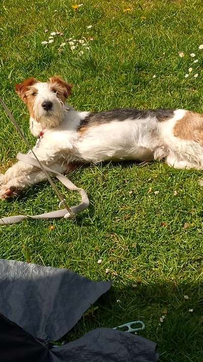 Foto Challange Nr.80-Beitrag-Bild