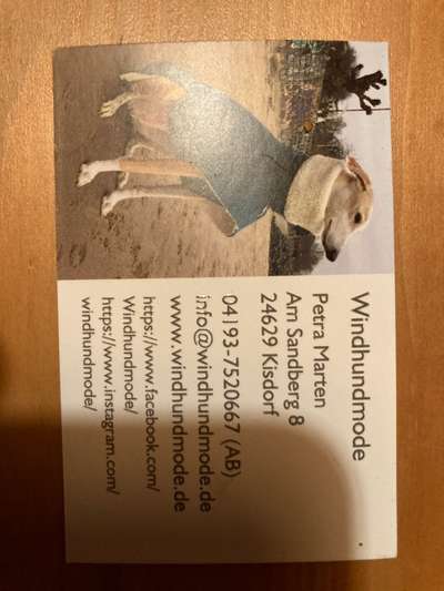 Windhunde - Treffen der besonderen Schönheiten
HERZLICH WILLKOMMEN-Beitrag-Bild