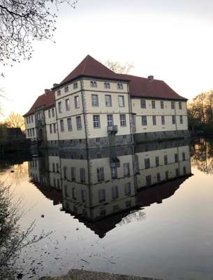 Hundeauslaufgebiet-Schloßpark Strünkede-Bild