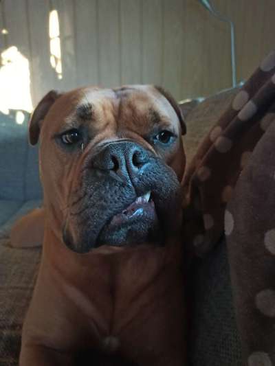 Handy-foto Challange nr. 11-Beitrag-Bild