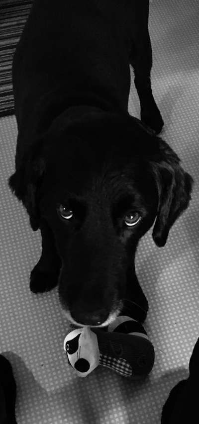 Foto-Challenge 76: Foto in Schwarz-Weiss-Beitrag-Bild