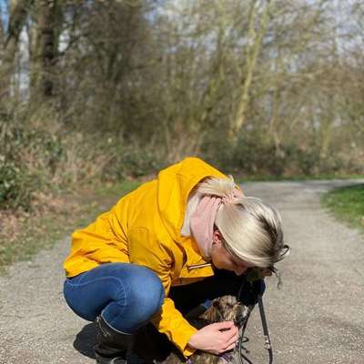 Hundetreffen-Junghundtreffen am Witthausbusch (bis 10kg)