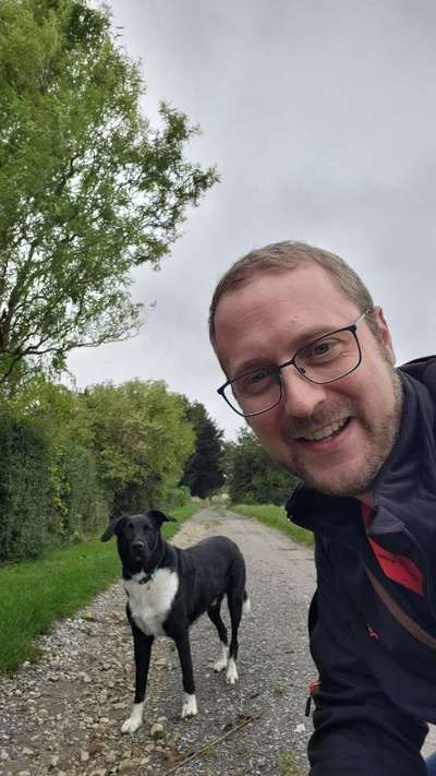 Hundetreffen-Meet and Walk - Fun Time-Bild