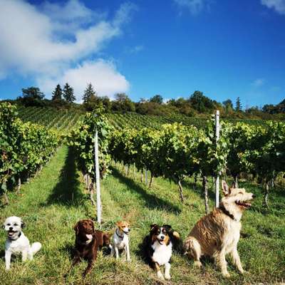 Fotochallenge 69-Beitrag-Bild