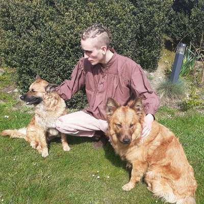 Hundetreffen-Wir suchen neue Hundefreunde!