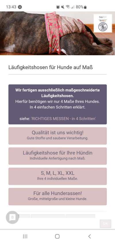 Schutzhöschen für läufige Hündin - Tipps gesucht-Beitrag-Bild