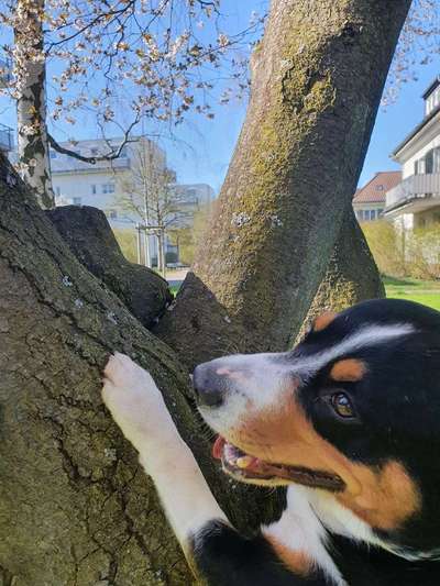 Kreative Idee auf dem Spaziergang!-Beitrag-Bild