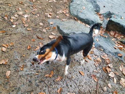 Un...scharf Bilder-Beitrag-Bild