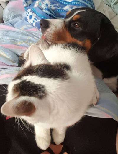 Sie werden so schnell erwachsen ...-Beitrag-Bild