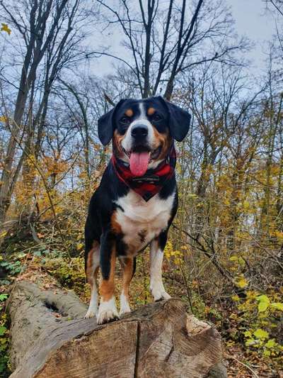 Lieblingsbild-Beitrag-Bild