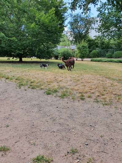 Spieltrieb ;)-Beitrag-Bild