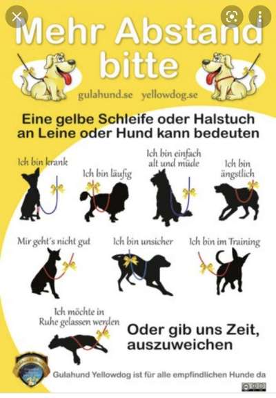 Jeder möchte zu meinem Welpen-Beitrag-Bild