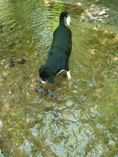 Kreative Idee auf dem Spaziergang!-Beitrag-Bild