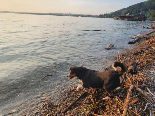 Eure Strandbilder :)-Beitrag-Bild