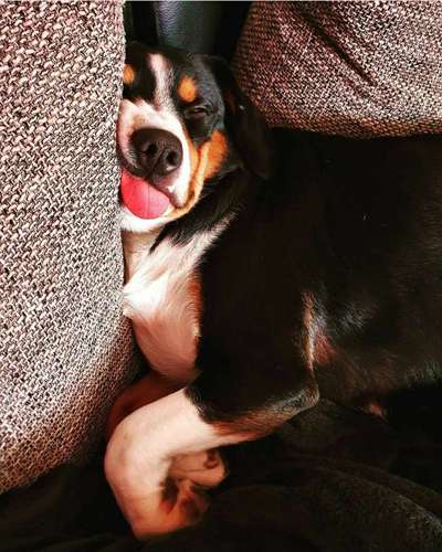 Die unbequemsten und lustigsten Schlafpositionen-Beitrag-Bild