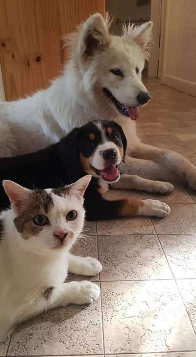 Sie werden so schnell erwachsen ...-Beitrag-Bild