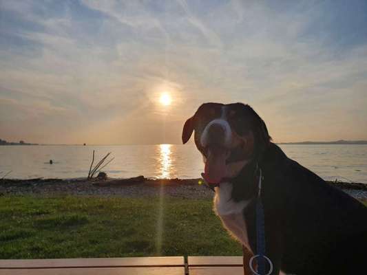 Eure Strandbilder :)-Beitrag-Bild