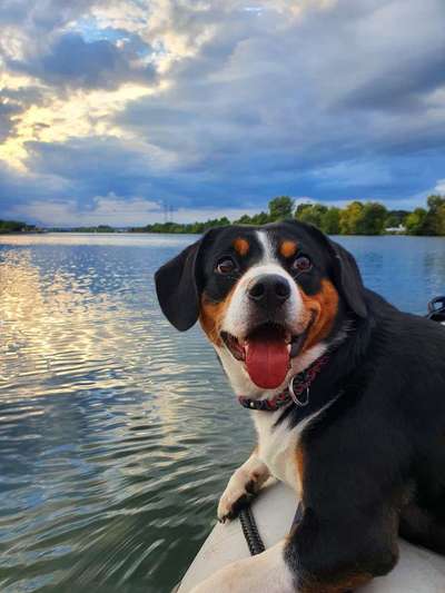 Ist das ein...?-Beitrag-Bild