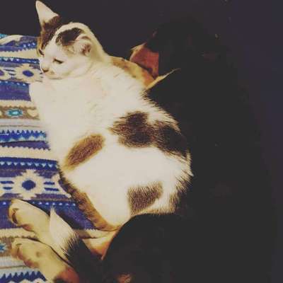 Sie werden so schnell erwachsen ...-Beitrag-Bild