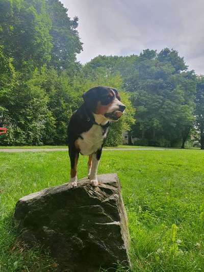 Kreative Idee auf dem Spaziergang!-Beitrag-Bild