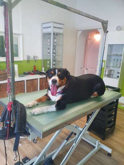 kleffer🤣🤣-Beitrag-Bild