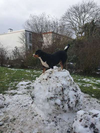 Kreative Idee auf dem Spaziergang!-Beitrag-Bild