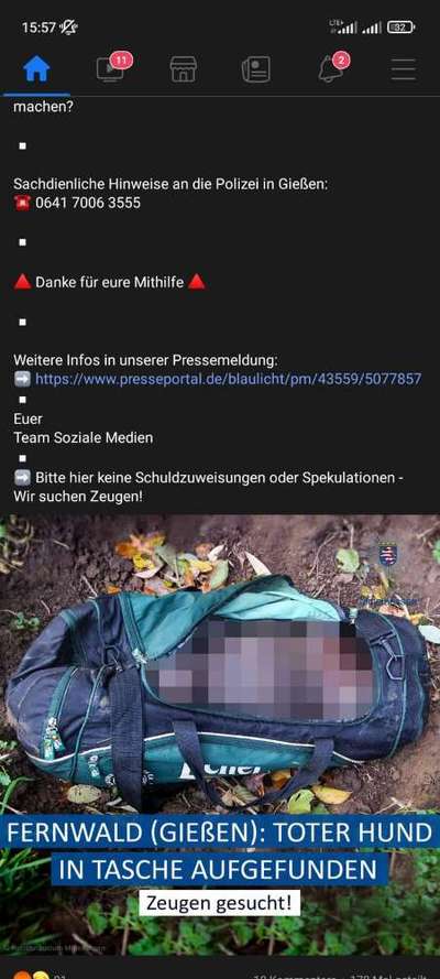 Bulldoggen mix-Beitrag-Bild