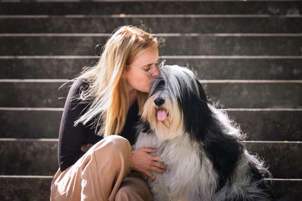 Hundetreffen-Social Walk-Bild