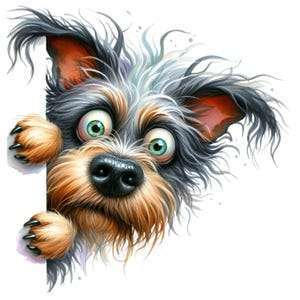 Hundetreffen-Raum IN/ND/EI/... mittelgroße und große Hunde-Bild