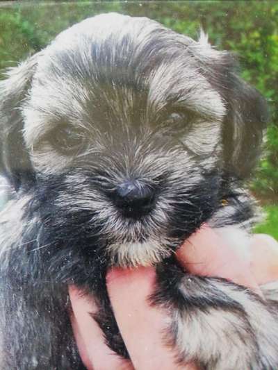 Sie werden so schnell erwachsen ...-Beitrag-Bild