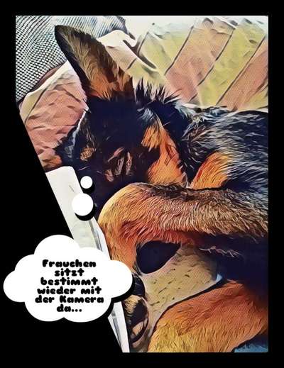 Fotochallenge 124 - Dein Comic-Hund-Beitrag-Bild