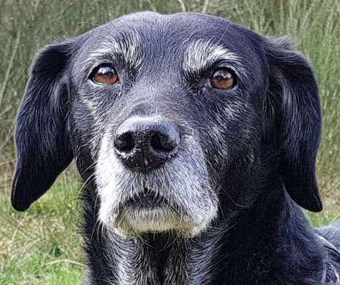 Fotochallange Nr. 57     PORTRÄT.   Beendet!!!!!!!!-Beitrag-Bild