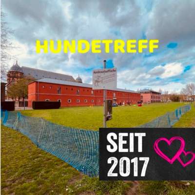 Hundetreffen-Sonntags Hundetreff am Schloss Gottesaue hinter der Musikhochschule-Bild