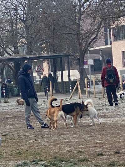 Hundeauslaufflächen in Karlsruhe 
Initiative Hundegarten für 76131 Karlsruhe-Beitrag-Bild