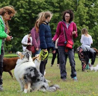 Hundetreffen-Feierabend HUNDETREFF am Schloß Gottesaue-Bild