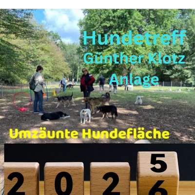Hundetreffen-Monatlicher Hundetreff in der Günther Klotz‘ Anlage-Bild