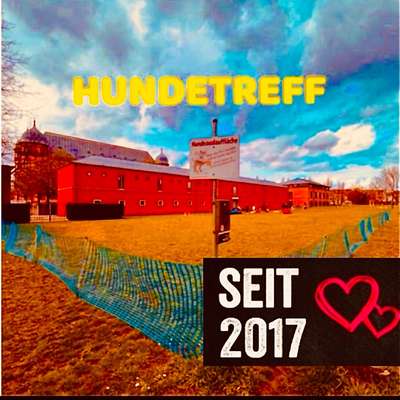 Hundetreffen-Hundetreff am Schloss Gottesaue-Bild