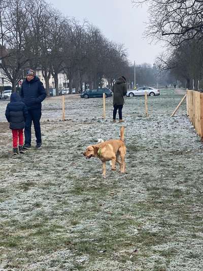 Hundeauslaufflächen in Karlsruhe 
Initiative Hundegarten für 76131 Karlsruhe-Beitrag-Bild