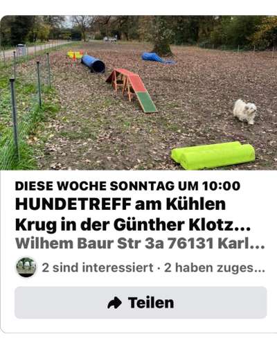 Hundeauslaufflächen in Karlsruhe, Hundegarten für Karlsruhe-Beitrag-Bild