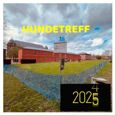 Hundetreffen-Hundetreff 2025 am Schloss Gottesaue hinter der Musikhochschule in Karlsruhe-Bild