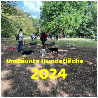 Hundetreffen-Sonntags HUNDETREFF in der Günther Klotz Anlage-Bild