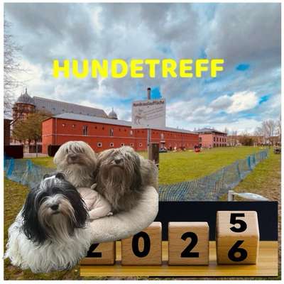 Hundetreffen-Hundetreff 2026 an der Musikhochschule am Schloss Gottesaue-Bild