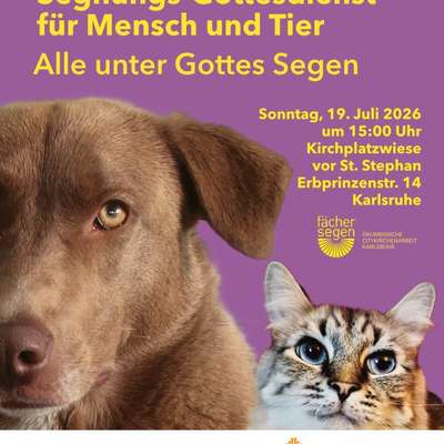 Hundetreffen-Segnungsgottesdienst-Bild