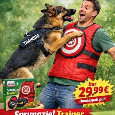 Leinenpöbeln verbessern!?.....(Ironisch gemeint)-Beitrag-Bild