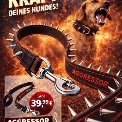 Leinenpöbeln verbessern!?.....(Ironisch gemeint)-Beitrag-Bild