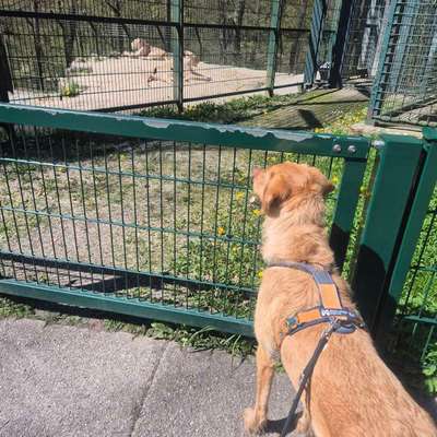 Was hat euch heute gefreut?-Beitrag-Bild